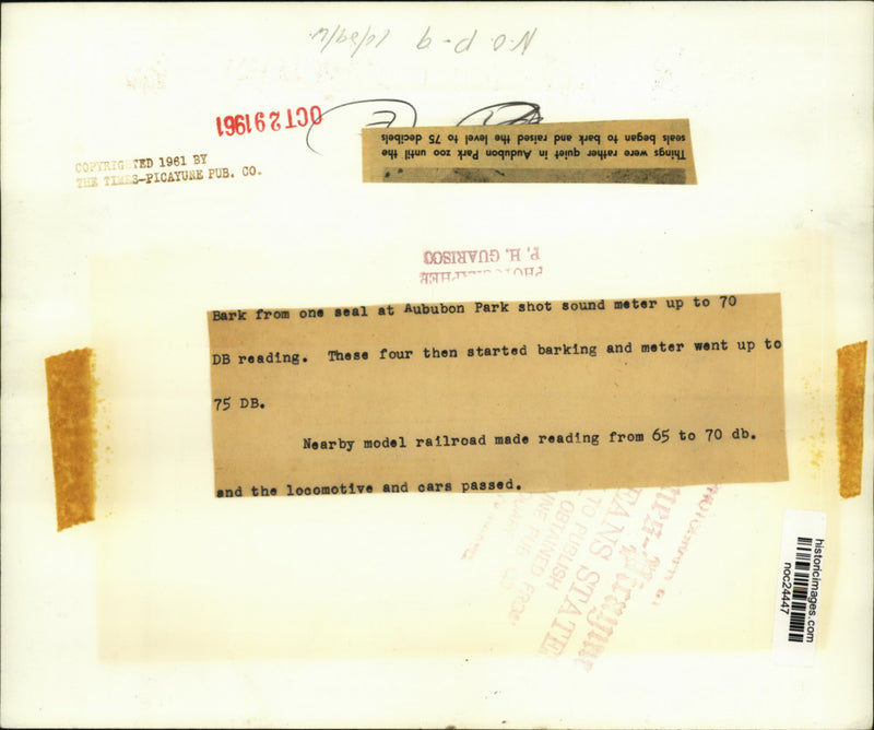 Load image into Gallery viewer, 1961 Press Photo Seals at Audubon Park zoo in New Orleans make quite a noise
