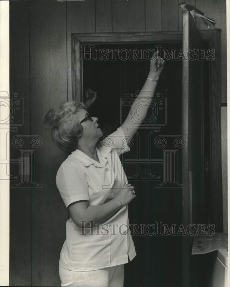 Load image into Gallery viewer, 1974 Press Photo Mrs. Darlene Sansome and Pee Wee, Mockingbird nursed to health
