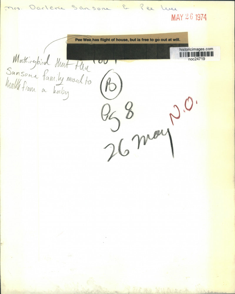 1974 Press Photo Mrs. Darlene Sansome and Pee Wee, Mockingbird nursed to health