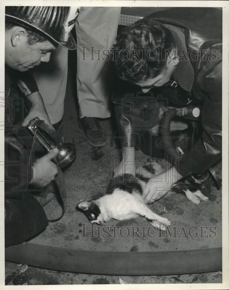 1963 Press Photo New Orleans Fire Department revives cat from burning house