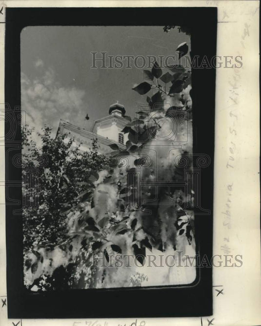1977 Press Photo Poplar blossoms in Irkutsk at Russian Orthodox Znaminsky Church