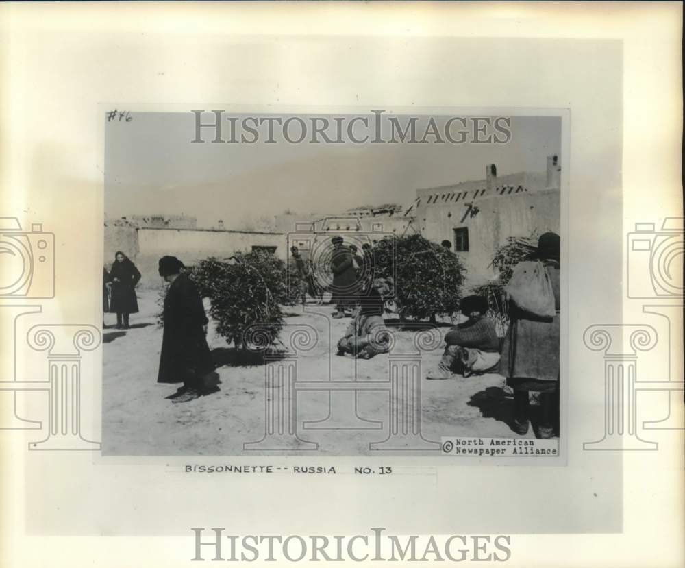 1956 Press Photo Donkeys piled with firewood at Khiva, Russia corner market