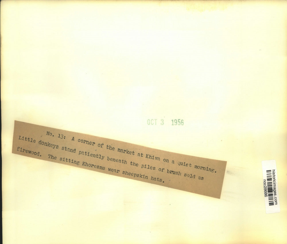 1956 Press Photo Donkeys piled with firewood at Khiva, Russia corner market