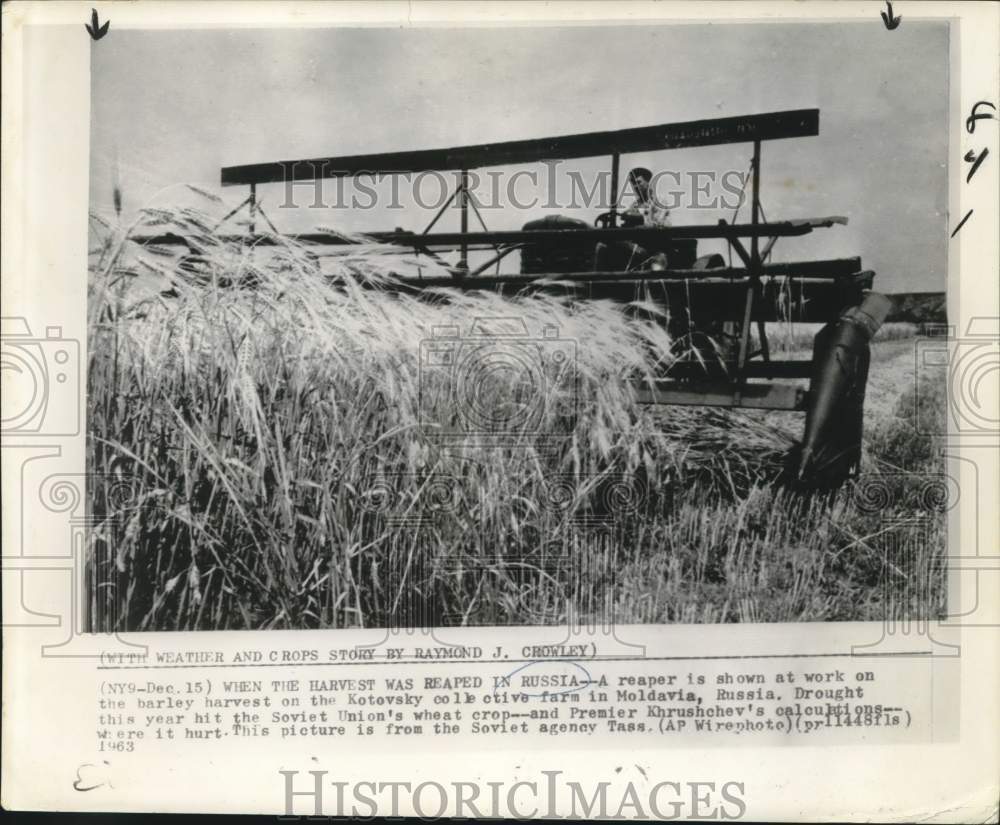 1963 Press Photo Russian farmer harvests barley in Moldavia farm - noc28698