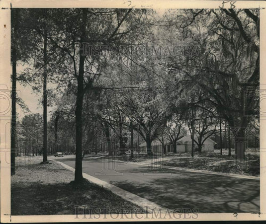 1961 Press Photo Riverwood Subdivision on Tchefuncte in St. Tammany Parish