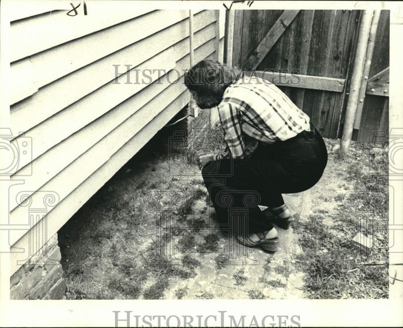 Load image into Gallery viewer, 1979 Press Photo Boots hides under house from cameraman James Guillot.
