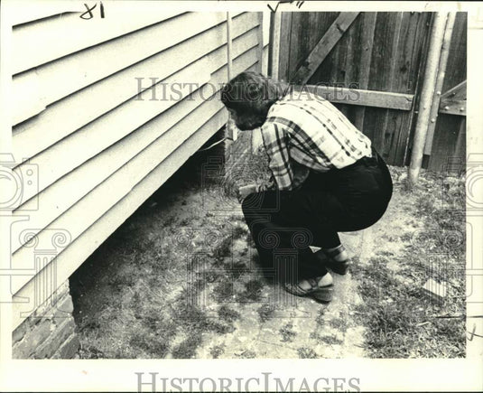1979 Press Photo Boots hides under house from cameraman James Guillot.