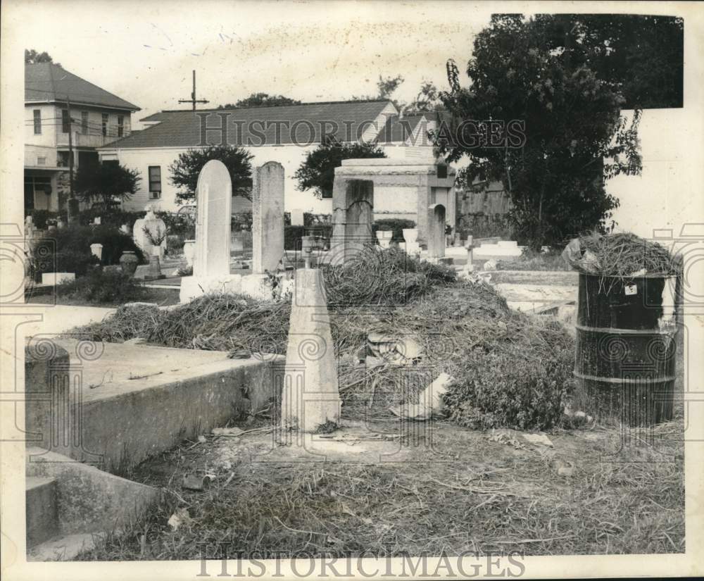 1968 Press Photo St. Mary Cemetery cleared of weeds and overgrown plants