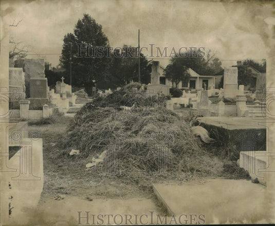 1968 Press Photo St. Mary Cemetery cleared of weeds - noc31098