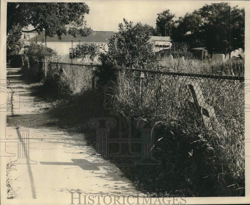 1968 Press Photo Unkept area of Saint Mary&#39;s Cemetery. - noc31101