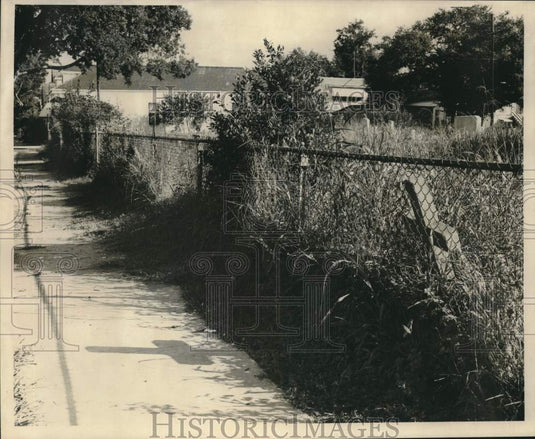 1968 Press Photo Unkept area of Saint Mary's Cemetery. - noc31101