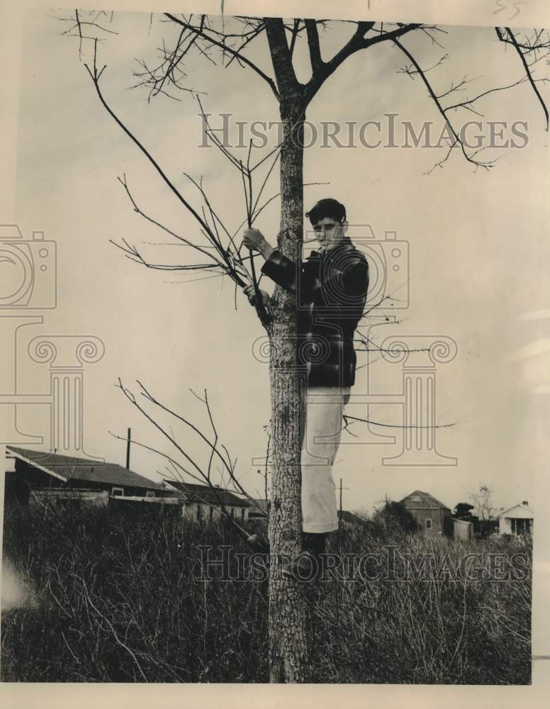 1950 Press Photo Wayne Roberson struck by stray bullet in the head. - noc34618