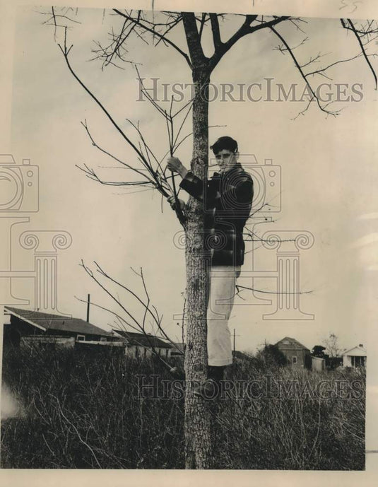 1950 Press Photo Wayne Roberson struck by stray bullet in the head. - noc34618