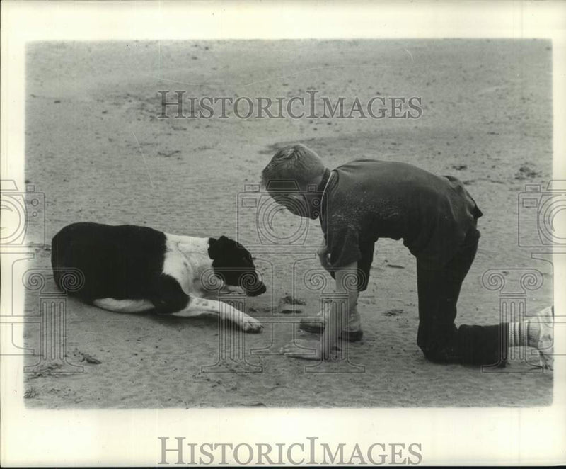 Load image into Gallery viewer, 1961 Press Photo Boy and his dog on the beach in Sandersville, Mississippi.
