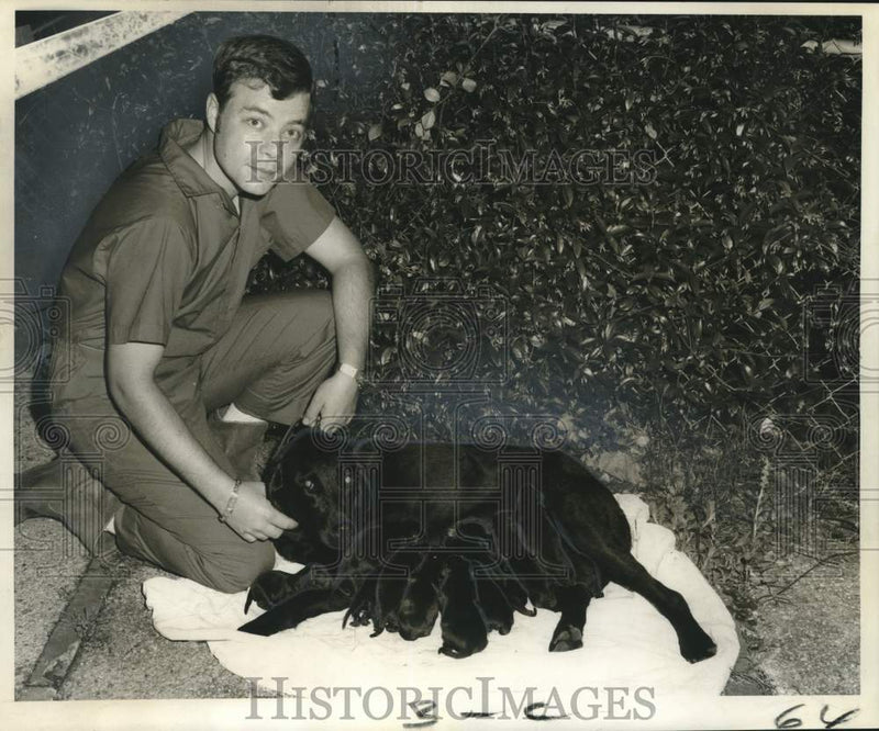 Load image into Gallery viewer, 1969 Press Photo Louis Wolfort with Dog Perk's Black Queen and Puppies
