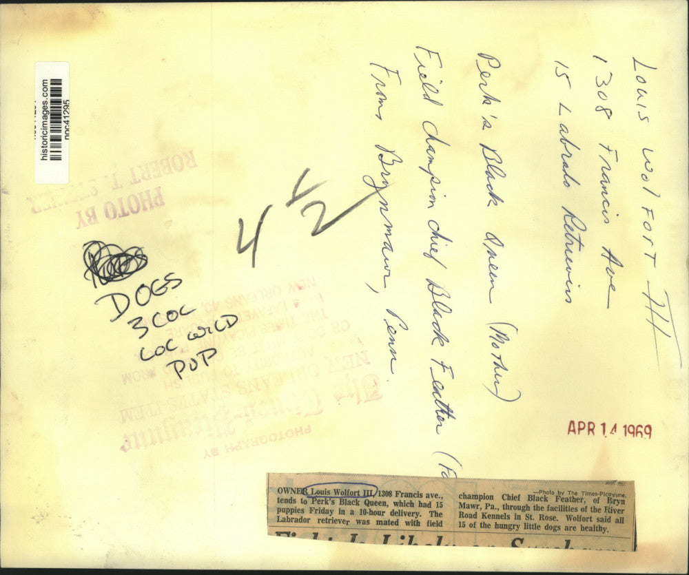 1969 Press Photo Louis Wolfort with Dog Perk's Black Queen and Puppies