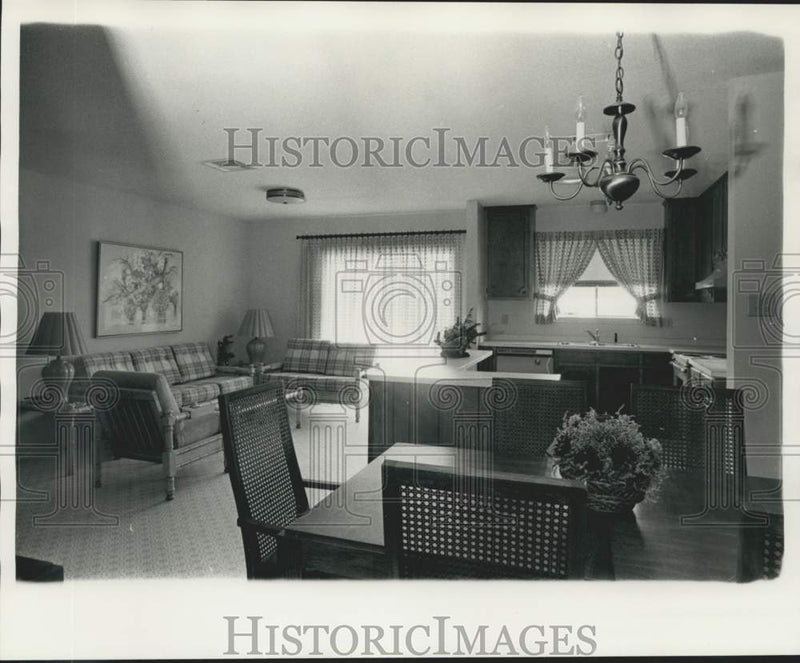Load image into Gallery viewer, 1975 Press Photo WYES-TV Dream House Interior View of Open Kitchen - noc45836
