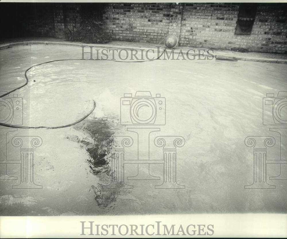 1972 Press Photo Ricky and Chros Schroeder&#39;s swimming pool - noc46333- Historic Images