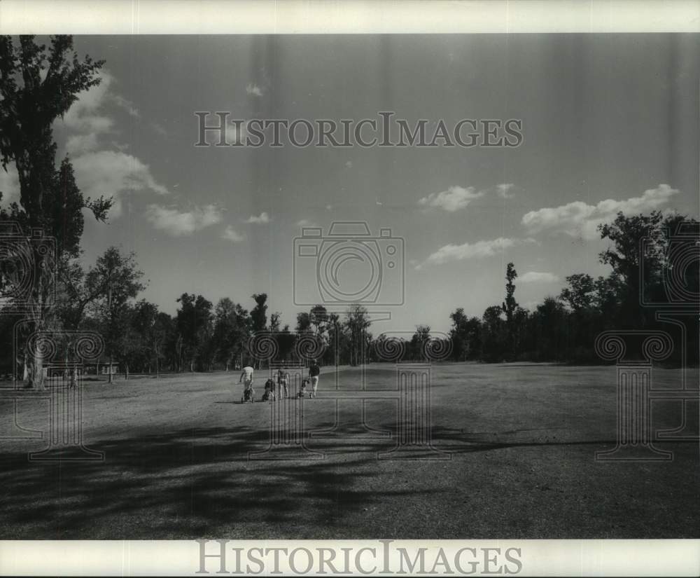 1970 Press Photo Players at Willowdale Country Club - noc46988- Historic Images