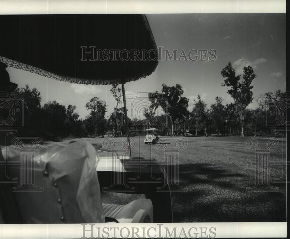 1970 Press Photo Fairway 5 at Willowdale Country Club - noc46991- Historic Images