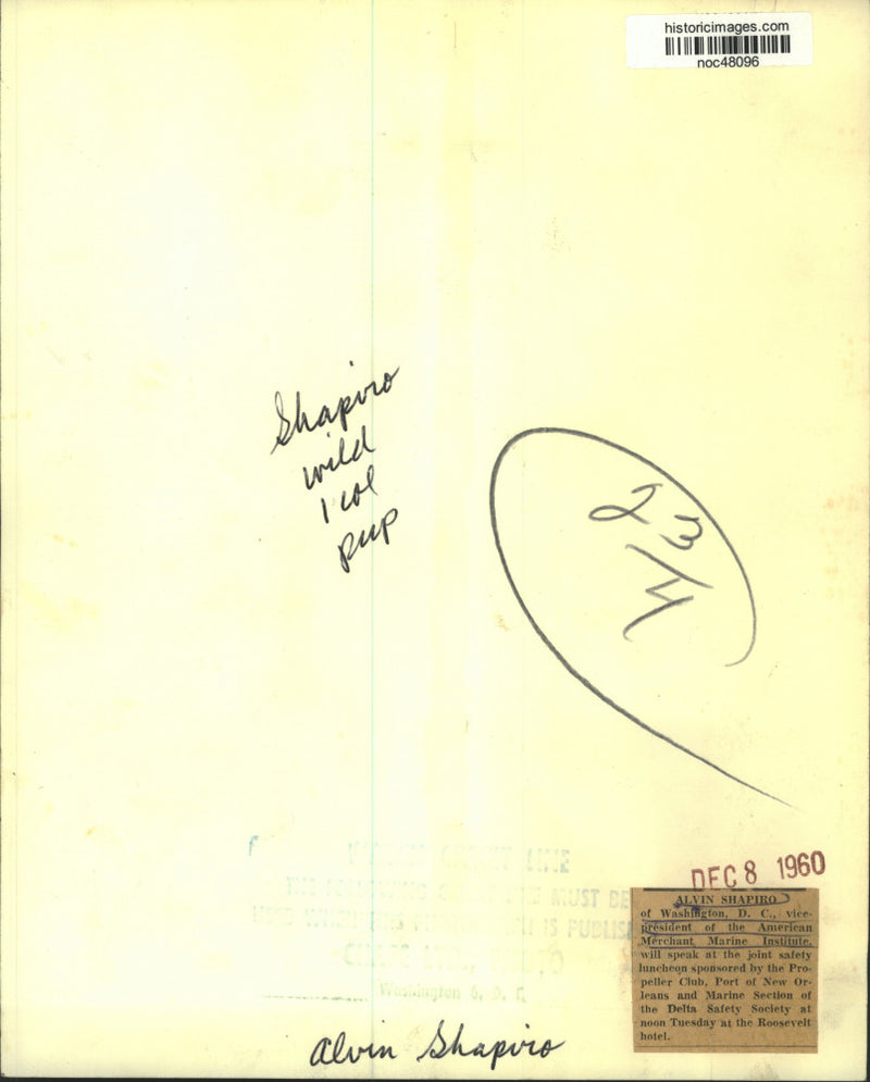 Load image into Gallery viewer, 1960 Press Photo Alvin Shapiro of American Merchant Marine Institute - noc48096
