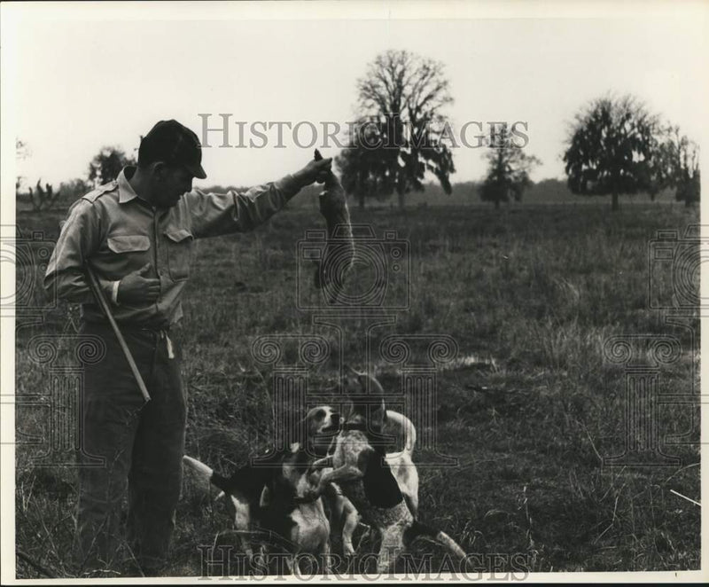 Load image into Gallery viewer, 1964 Press Photo Waterfowl hunter with his hunting dogs - noc53143
