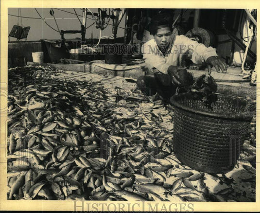 1990 Press Photo Seng Huynh sorts shrimp aboard boat in Gulf of Mexico- Historic Images