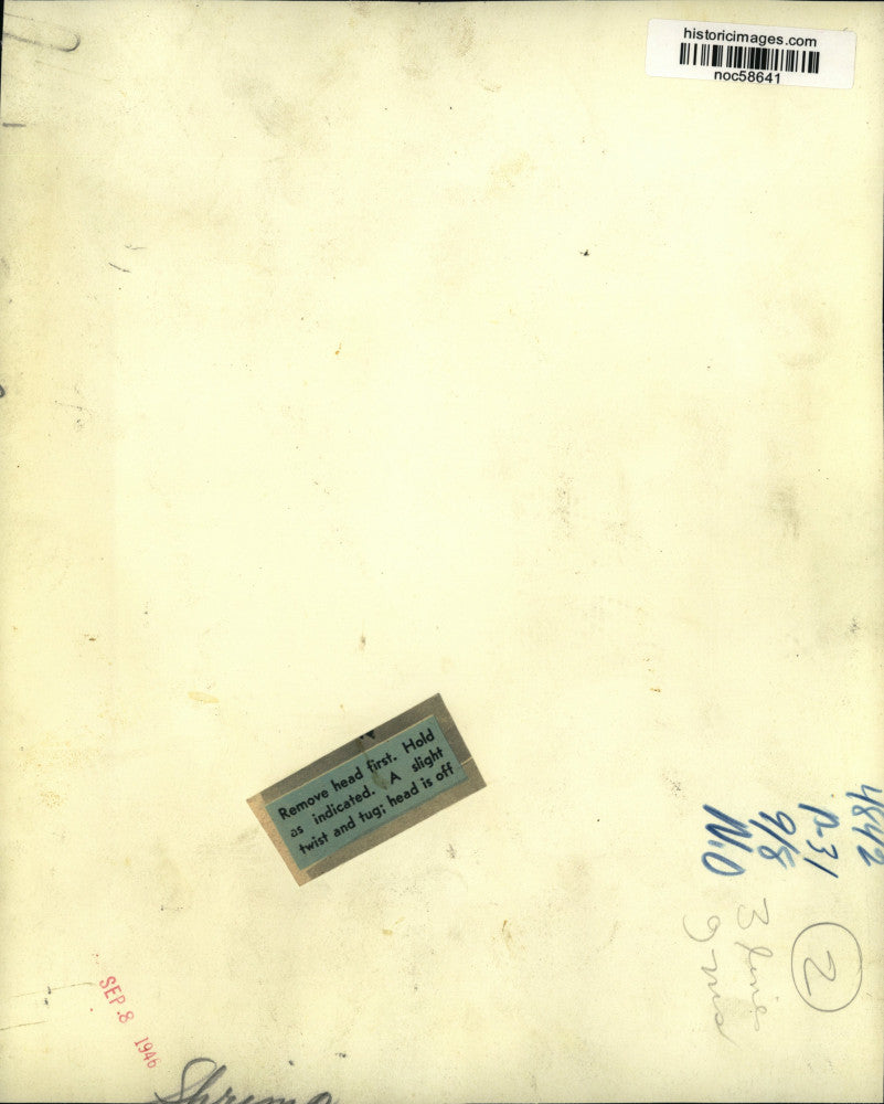 1946 Press Photo Proper way to remove head from shrimp - noc58641