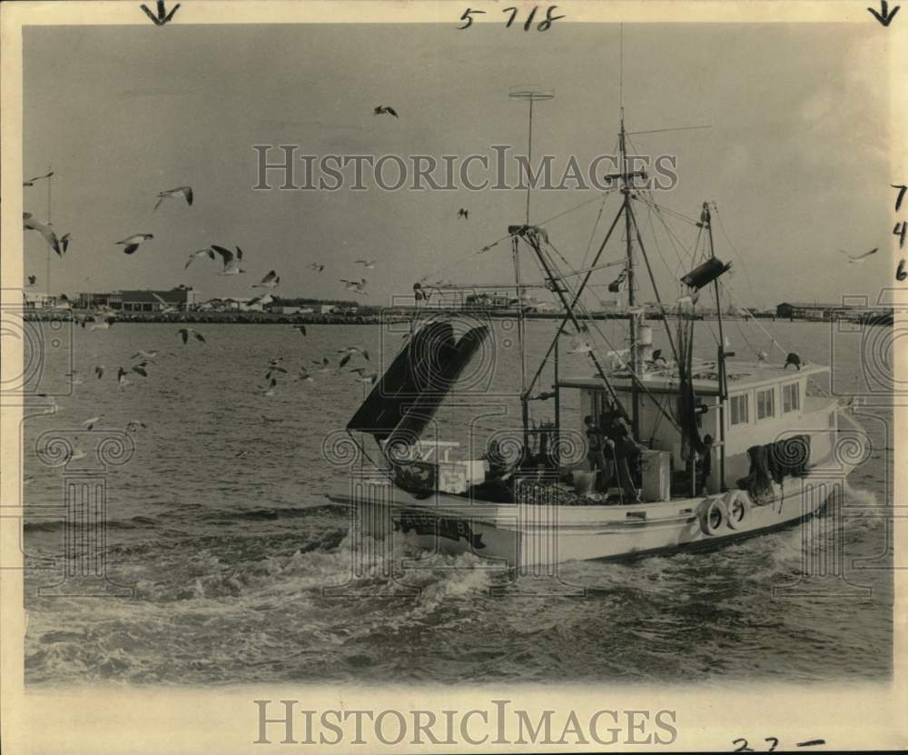 1978 Press Photo Seagulls follow shrimp boat Albert B. as it passes the harbor- Historic Images