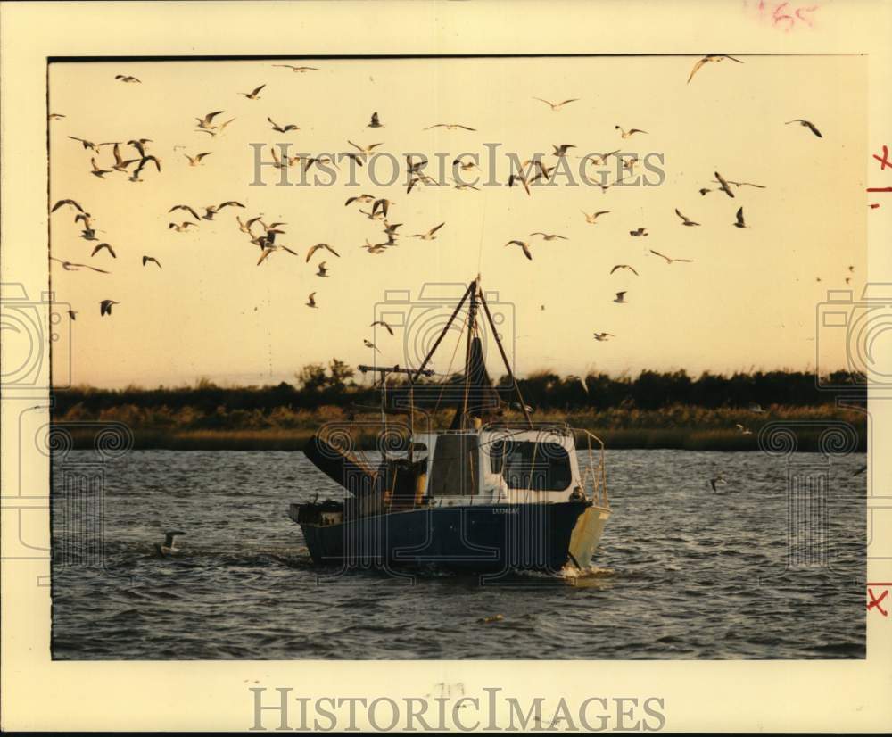 1988 Press Photo Shrimping boat closely followed by a flock of seagulls- Historic Images