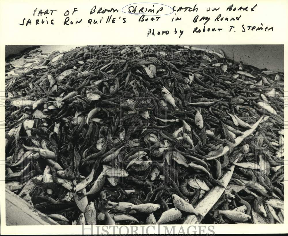 1981 Press Photo Pile of brown shrimp catch on Jarvis Ronquille&#39;s boat- Historic Images