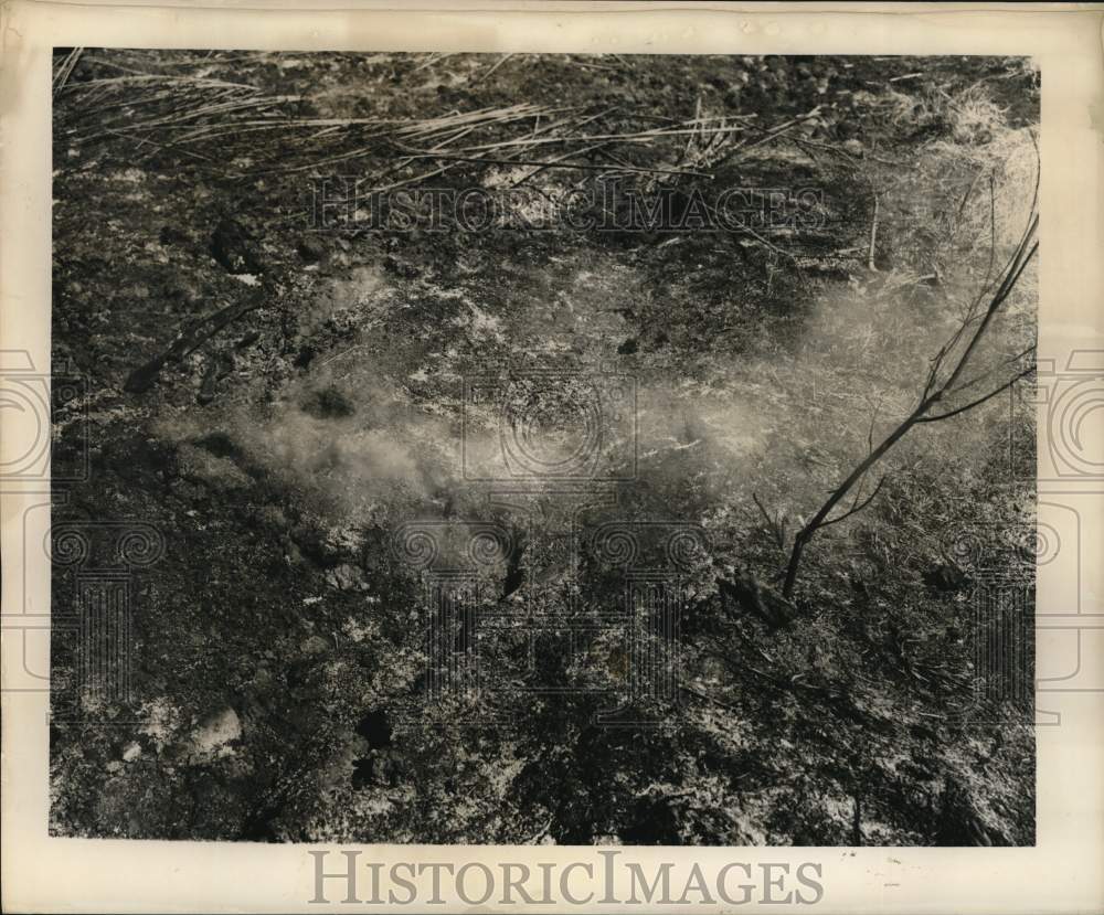 1949 Press Photo Smoke billowing from a brush fire, New Orleans area Smog