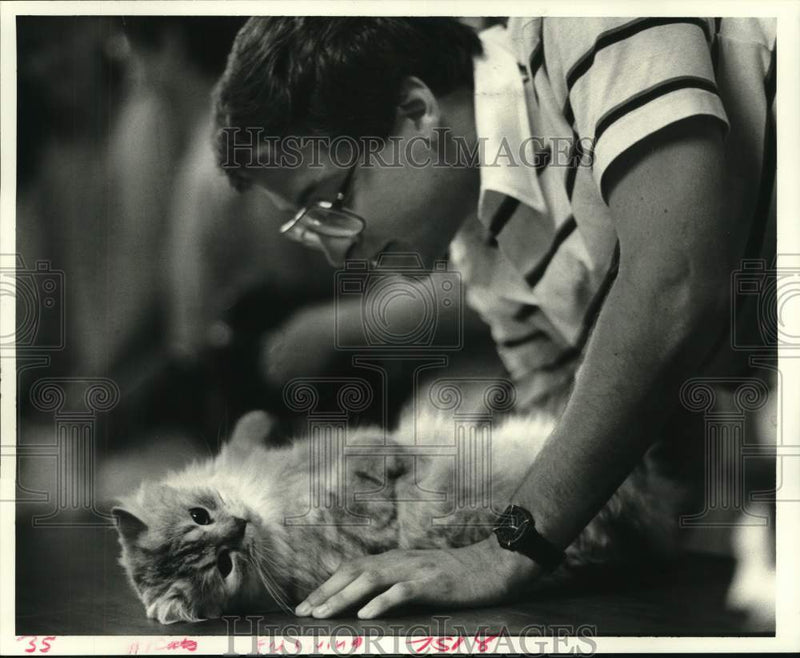 Load image into Gallery viewer, 1986 Press Photo Doug Salzer with his Persian cat Bogey at SPCA Cat Show
