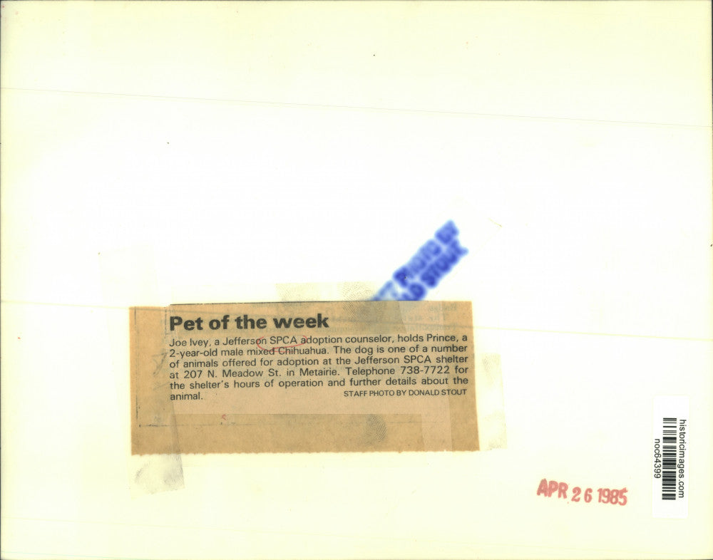 1985 Press Photo Joe Ivey, a Jefferson SPCA adoption counselor, holds Prince