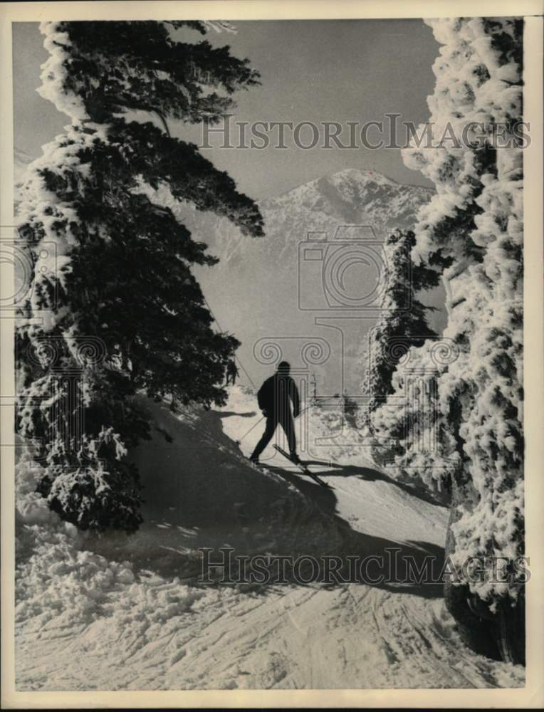1960 Press Photo Skier savors fresh snowfall at Mt. Baldy California - noc64978