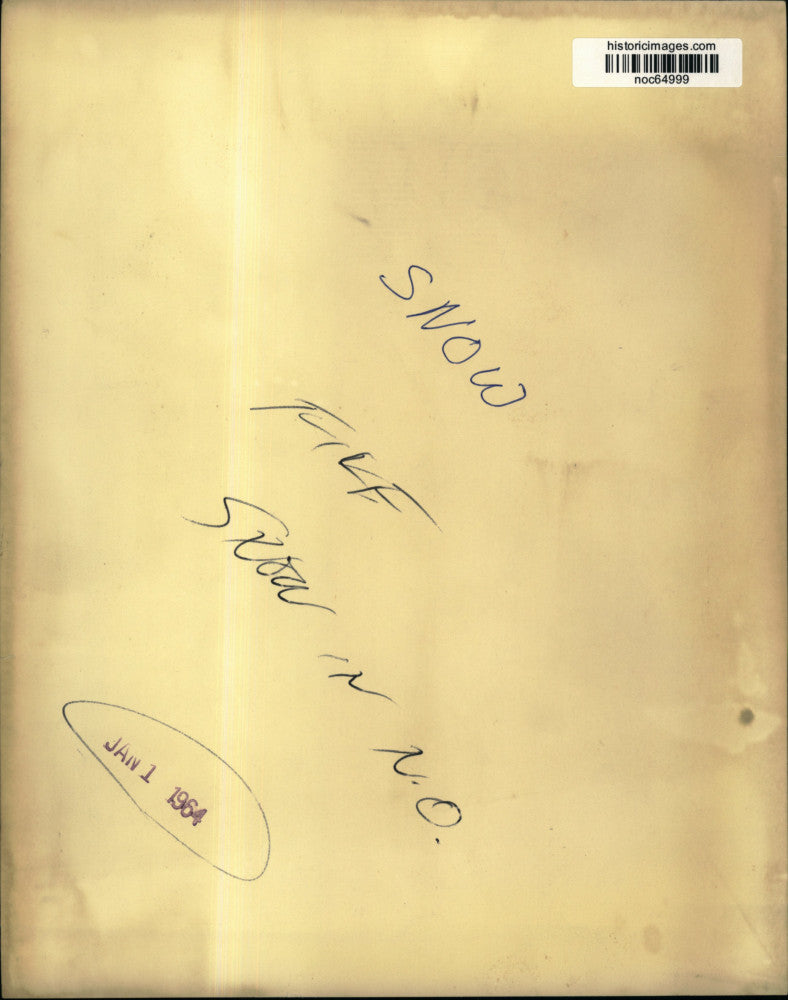 1964 Press Photo Snowy landscape in New Orleans - noc64999