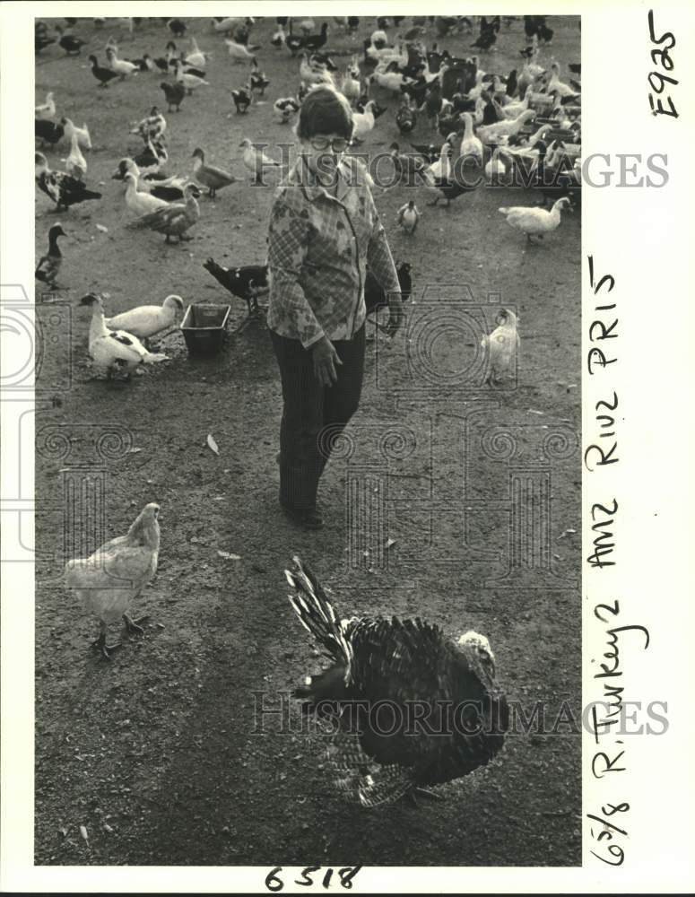 Load image into Gallery viewer, 1981 Press Photo Eleanor Fresh talks with a turkey on Joe Kuhn Stock Farm

