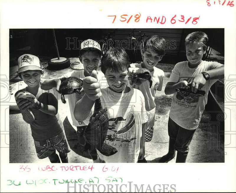 Load image into Gallery viewer, 1987 Press Photo Turtle Club members with their new pets - noc75050
