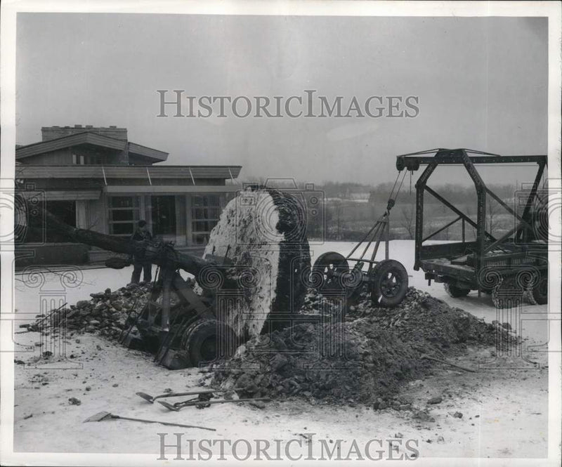 Load image into Gallery viewer, 1956 Press Photo Front wheels hauled away the mature elm tree - noc84552
