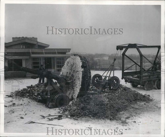 1956 Press Photo Front wheels hauled away the mature elm tree - noc84552