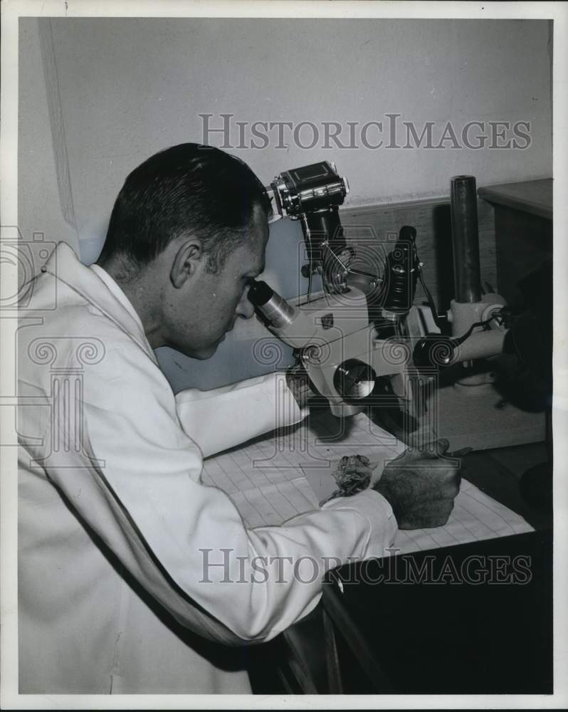 Load image into Gallery viewer, 1967 Press Photo Dr. Sam Threefoot, director of Touro Research Institute
