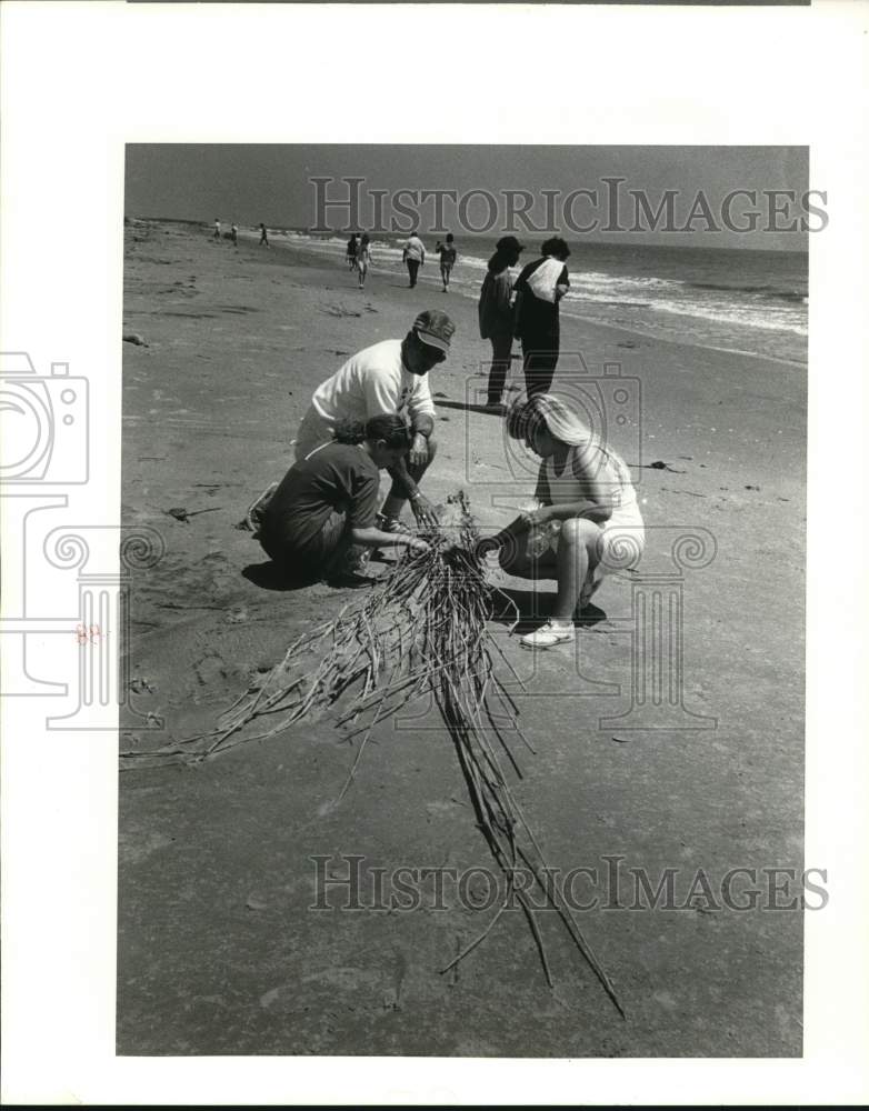 1988 Press Photo Student &amp; teacher check out barnacles at Timablier Island- Historic Images