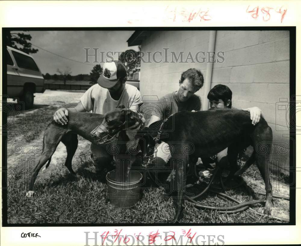 1989 Press Photo Sarah Lynn Challenger after practice run at Sunny Hill Farms- Historic Images