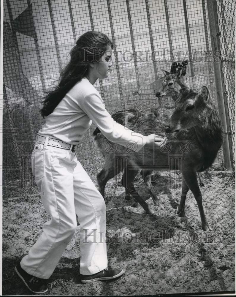 1974 Press Photo Girl Feeds Animal at Pontchartrain Beach- Historic Images