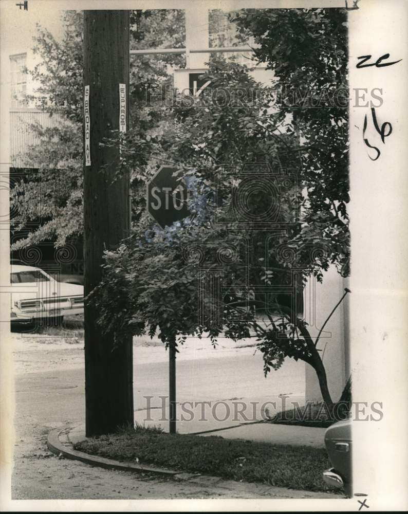 1974 Press Photo A stop traffic sign hidden behind a tree - nod01979