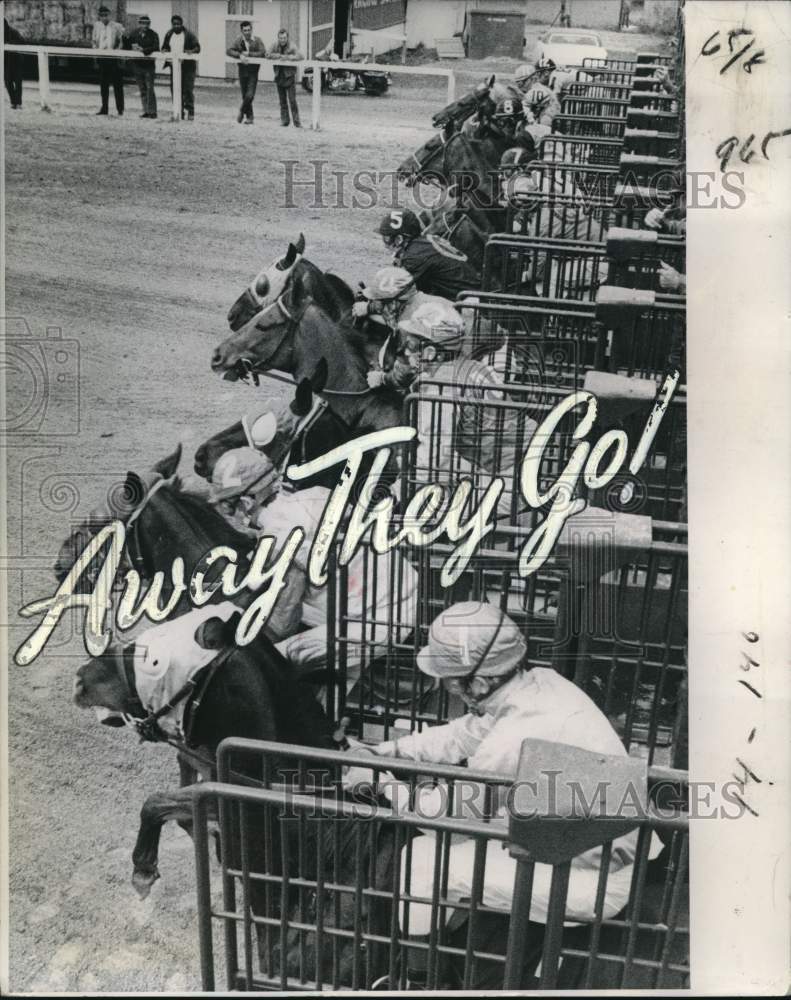 1972 Press Photo Horse racing at the Fair Grounds in New Orleans- Historic Images