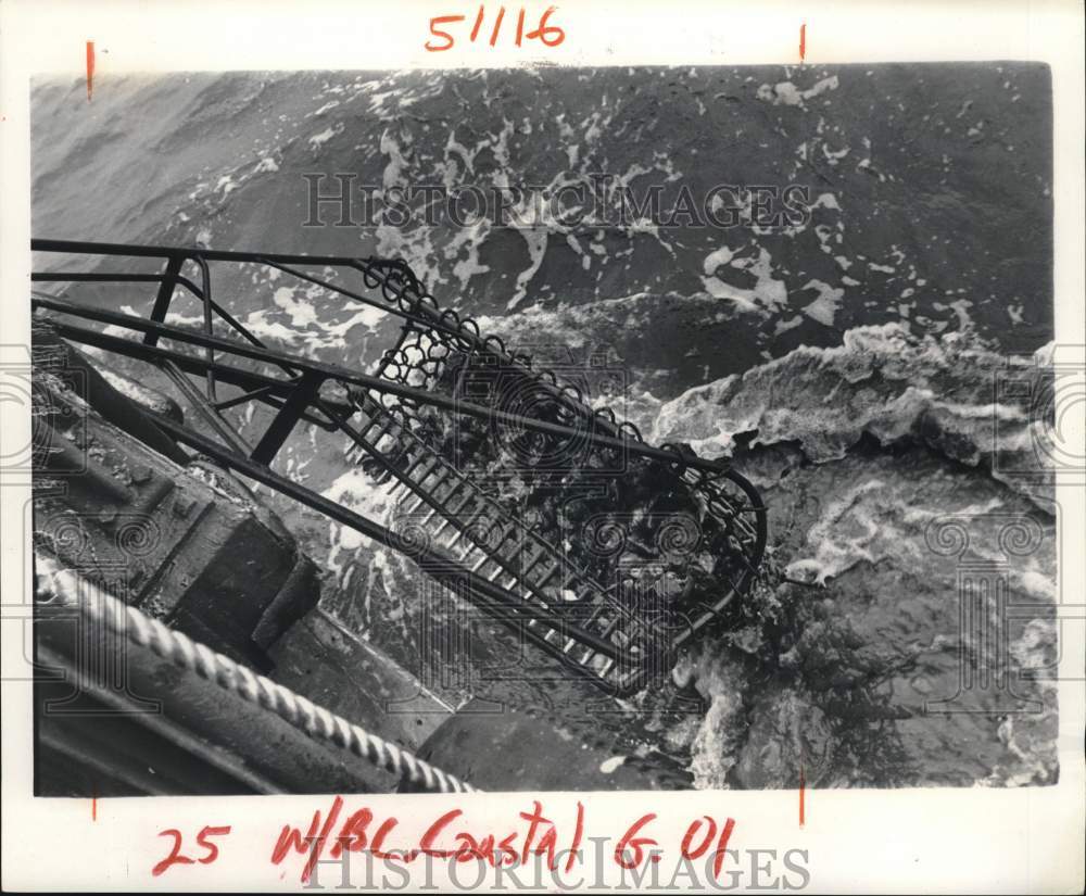 1980 Press Photo Oysters harvested and loaded aboard a boat- Historic Images