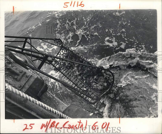 1980 Press Photo Oysters harvested and loaded aboard a boat- Historic Images