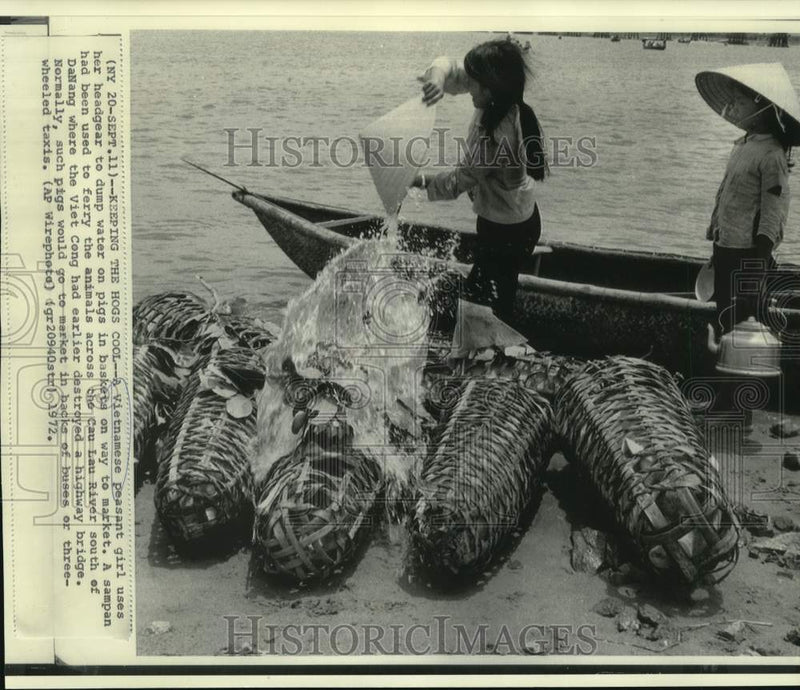Load image into Gallery viewer, 1972 Press Photo Vietnamese Girls Waters Pigs in Baskets en Route to Market
