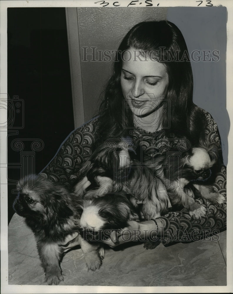 1973 Press Photo Mrs. Sylvia Bowers cuddles three &quot;baldies&quot; of four Pekingese- Historic Images